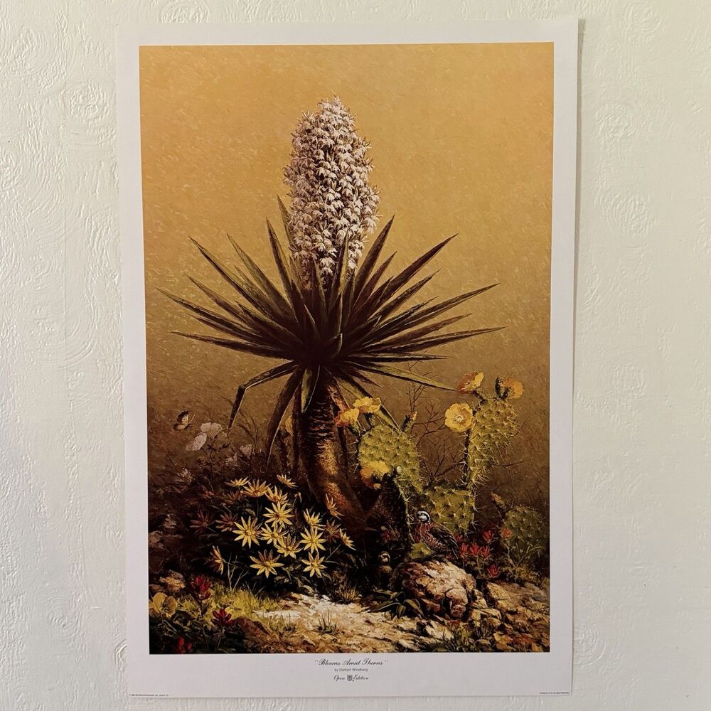 Dalhart Windberg Blooms Amid Thorns Art Print Bobwhite Quail Cactus 1983 30x20โ